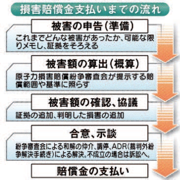 20110626HosyouPaymentFlowNuclearDesaster.jpg
