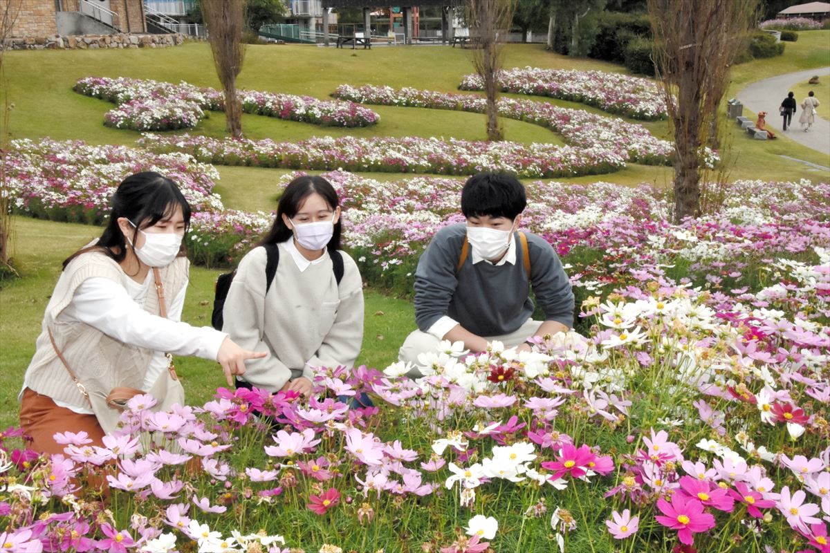 夢舞台を視察し、花を生かした復興について考える(左から)鈴木さん、一条さん、山下さん