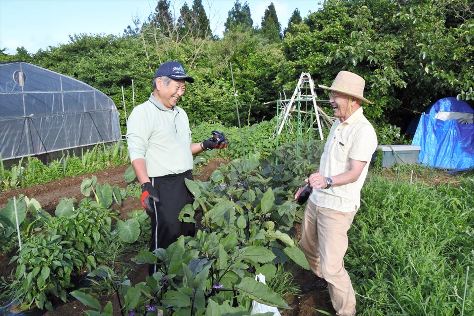 いわき市で野菜作りに励む大橋さん(右)と福岡さん。いつか双葉の畑で野菜を育てることを夢見る
