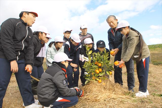 防災緑地の畑でミカンを初収穫する福田小の6年生。右から2人目は三宅さん