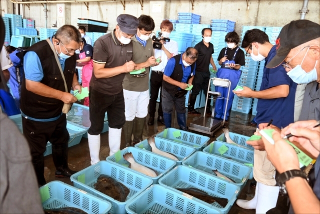 沼之内漁港に水揚げされた魚の品質を確認し、入札する仲買人ら=25日午前8時45分ごろ