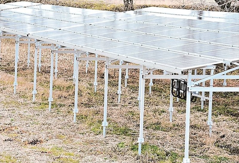 双葉郡内の農地に設置された営農型太陽光発電設備