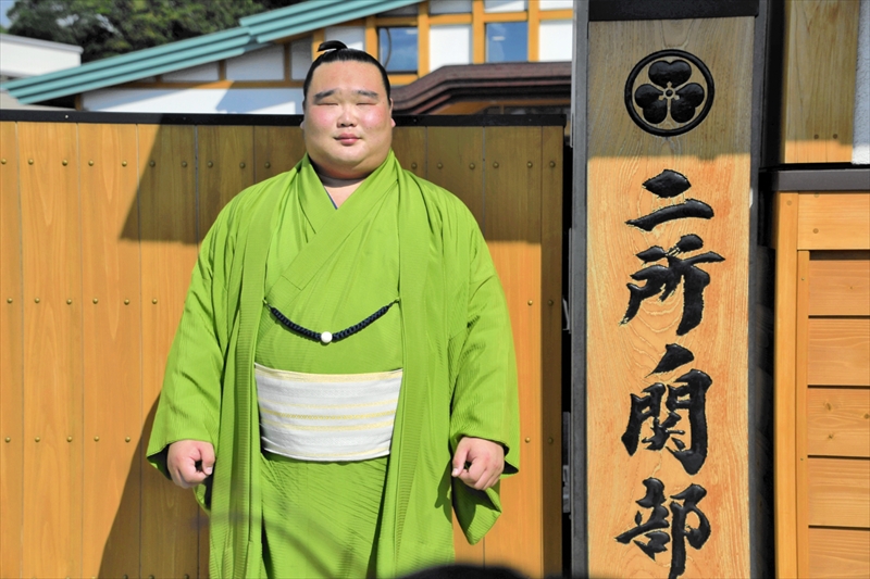 白熊