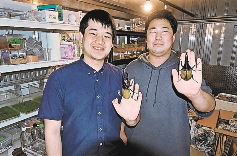 ムシムシランド敷地内に設けた研究所。地域おこし協力隊員が作業する