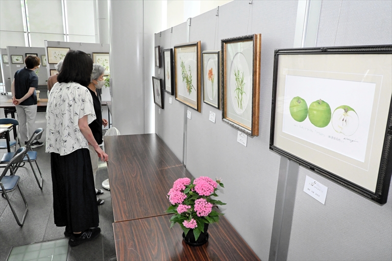 ボタニカルアート、色彩みずみずしく　３０日までＦＴＶカルチャーセンター教室作品展　福島市