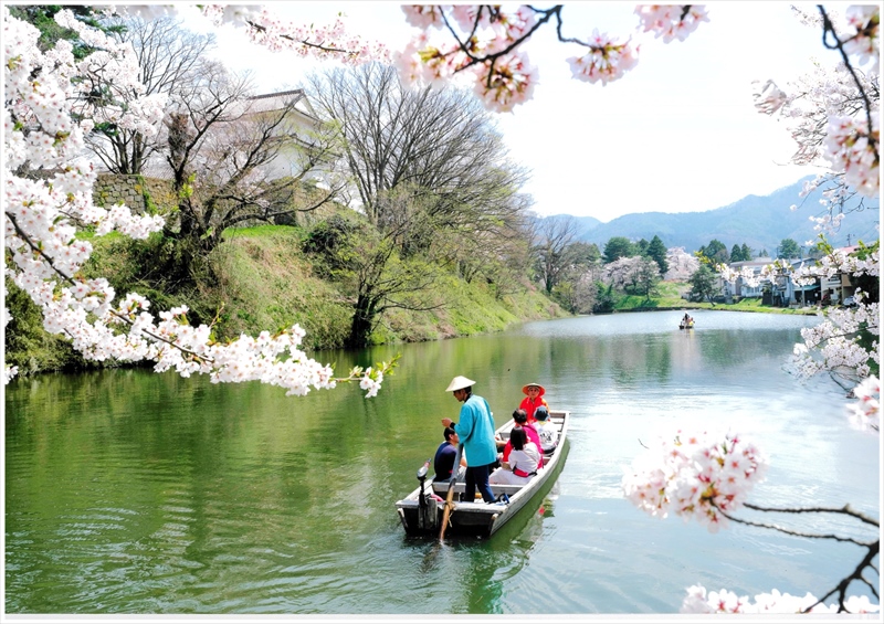 準特選の児山さんの「桜花爛漫、和舟で行楽」