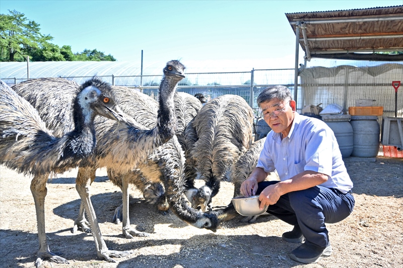 エミューが福島県玉川村に１４頭　岩谷建設会長に聞く飼育の理由　地域おこしに期待