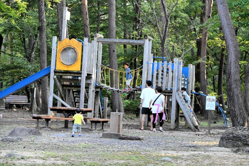 福島市のあづま総合運動公園、全面開放を再開　熊被害の西側エリアも利用開始　巡視など対策強化