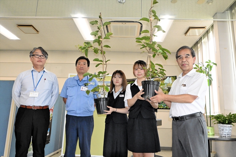 特産サルナシ育てて大きな「実り」　福島県玉川村が村内企業に初　ＴＢＫ福島工場に苗木贈る