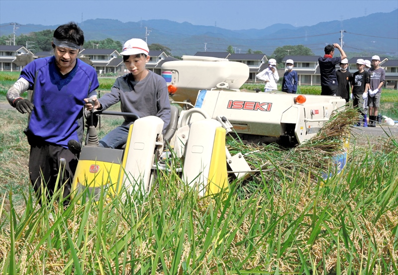 稲刈り機を使い収穫体験　食の大切さ学ぶ　福島県いわき市の小玉小児童