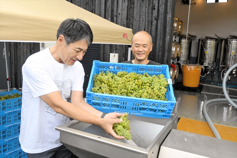 富岡町産のブドウを機械に投入する遠藤社長(左)