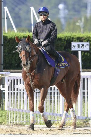 競馬　1999G1レース PHOTO COLLECTION 福島牝馬ステークス・GⅢ】福島牝馬S 福島 芝 1800m 2025 レース