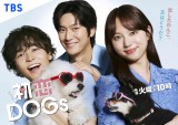 TBS×STUDIO DRAGON『初恋DOGs』、韓国「tvN」で放送決定
