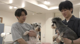 『嗚呼!! みんなの動物園2時間スペシャル』（C）日本テレビ