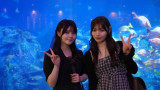 『乃木坂、逃避行。SEASON3』に出演する伊藤理々杏、岡本姫奈
