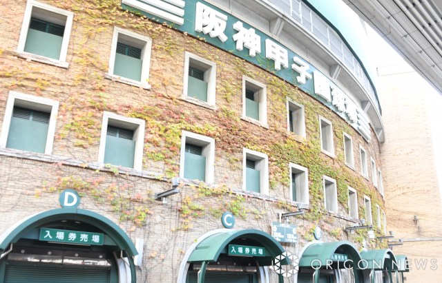 阪神甲子園球場 (C)ORICON NewS inc.
