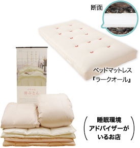 ベッドマットレス『ラークオール』 断面 ベッドフレーム『hinoki ひのき』 睡眠改善インストラクターがいるお店