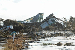 IP110312TAN000067000_00.jpg