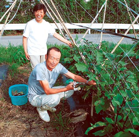 双葉町帰還を願いながら埼玉県久喜市で農業に励む鵜沼さん夫婦