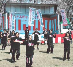 杉戸町の満開の桜の下でよさこいを披露するメンバー