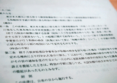 時効の中断措置を定めた特例法の条文。対象がＡＤＲ利用者に限られるなど、救済制度としては不十分との声が挙がる