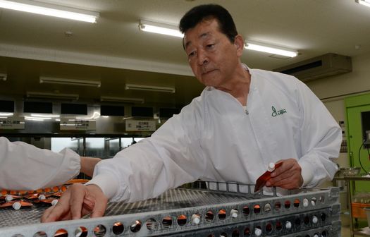 加工施設で製品を並べる平子さん